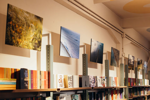 Mostra Federica Pellegrinotti