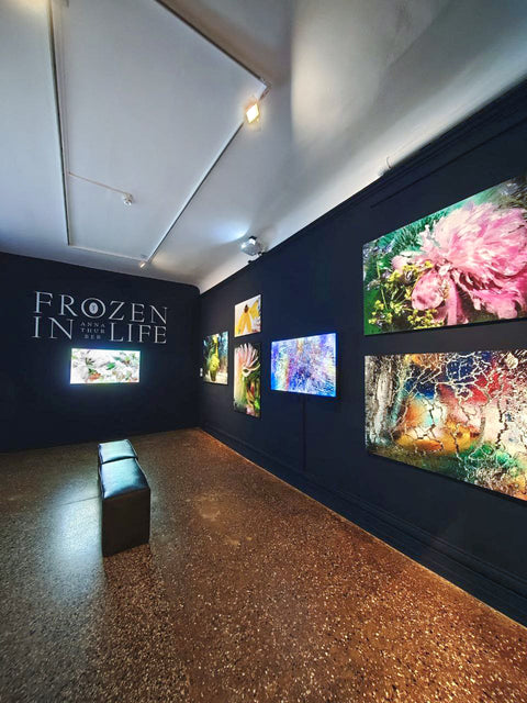 FROZEN IN LIFE | Venice Biennale