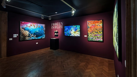Anna Thurber | Biennale di Venezia