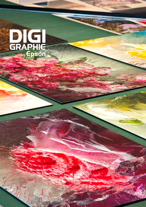 Stampa Museale applicata a pannello rigido